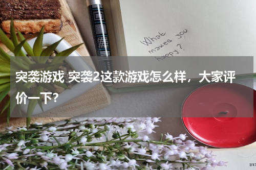 突袭游戏 突袭2这款游戏怎么样，大家评价一下？