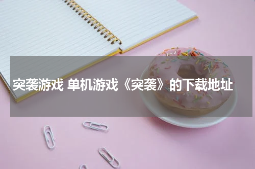 突袭游戏 单机游戏《突袭》的下载地址