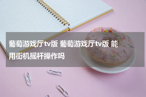 葡萄游戏厅tv版 葡萄游戏厅tv版 能用街机摇杆操作吗