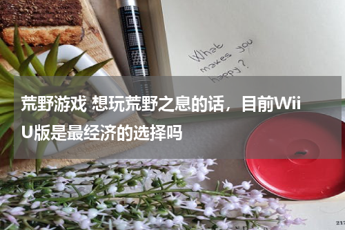 荒野游戏 想玩荒野之息的话，目前WiiU版是最经济的选择吗