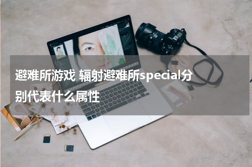 避难所游戏 辐射避难所special分别代表什么属性
