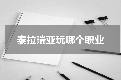 泰拉瑞亚玩哪个职业