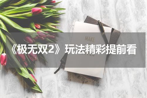 《极无双2》玩法精彩提前看
